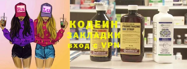 шишки Арсеньев