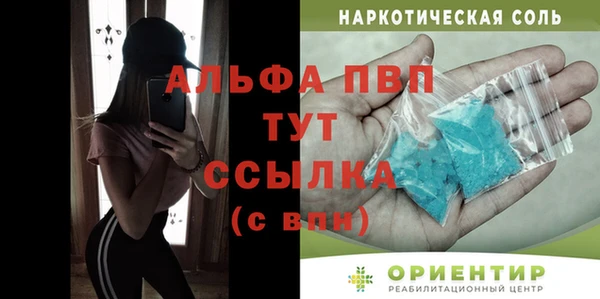 шишки Арсеньев