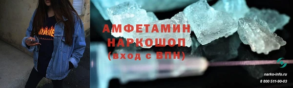 шишки Арсеньев
