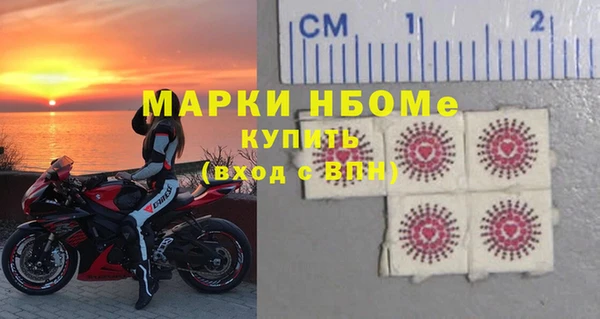шишки Арсеньев