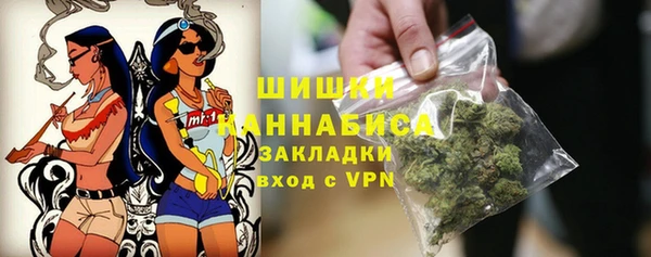 шишки Арсеньев
