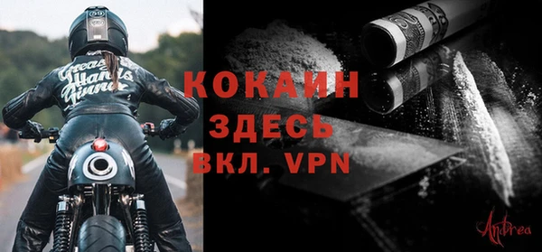 шишки Арсеньев
